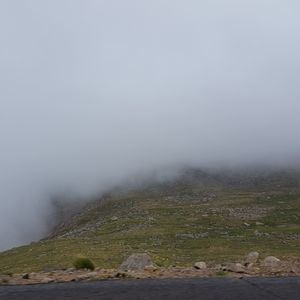 Meet your Posher, Max